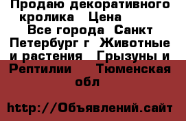 Продаю декоративного кролика › Цена ­ 500 - Все города, Санкт-Петербург г. Животные и растения » Грызуны и Рептилии   . Тюменская обл.